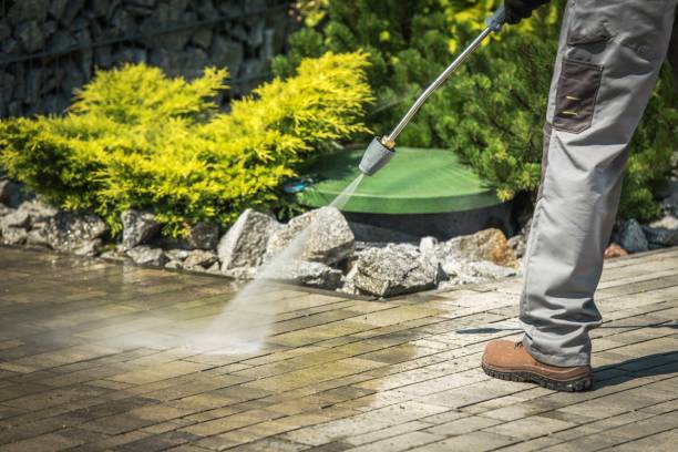 Best Gutter Cleaning  in South Floral Park, NY