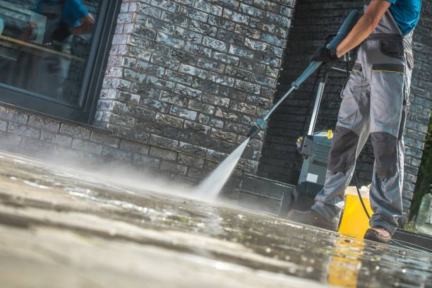 Best Animal Enclosure Cleaning  in South Floral Park, NY