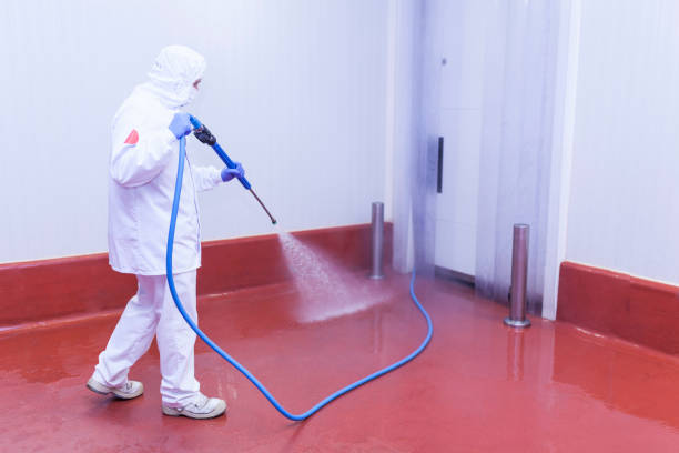 Best Spring Cleaning  in South Floral Park, NY